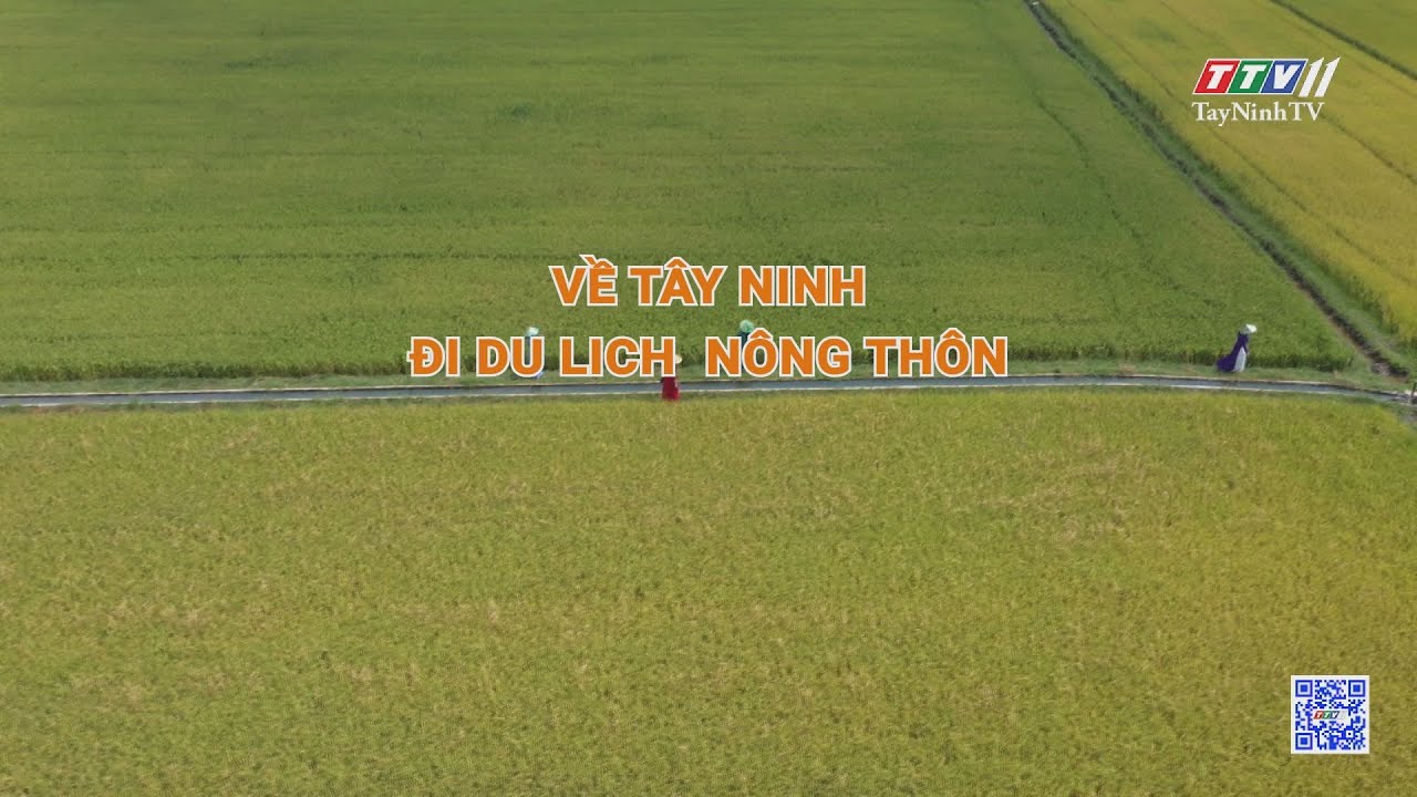 Tây Ninh với tiềm năng du lịch nông thôn | NHỮNG VẤN ĐỀ HÔM NAY | TayNinhTV